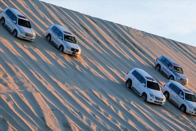 Premium Full-Day Safari, Dune Bash, Camel Ride and BBQ Meal in Desert Camp - Who will enjoy this desert safari most