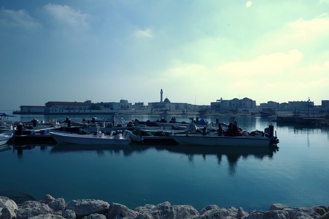 Private Combo North and West of Qatar Tour 8hours - What the private format changes