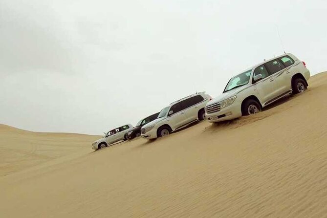 Private Desert Safari, Sand Dunes Bashing and Inland Sea Visit - Sealine Beach and the camel camp