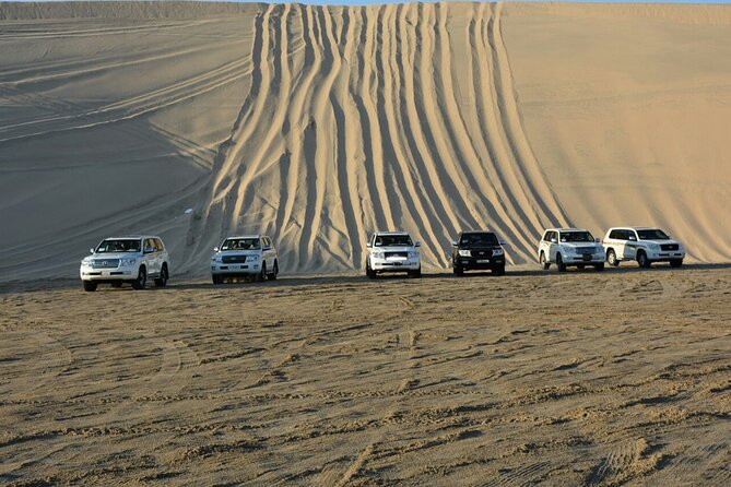 Private Desert Safari, Sand Dunes Bashing and Inland Sea Visit - Khor Al Udaid and the Inland Sea