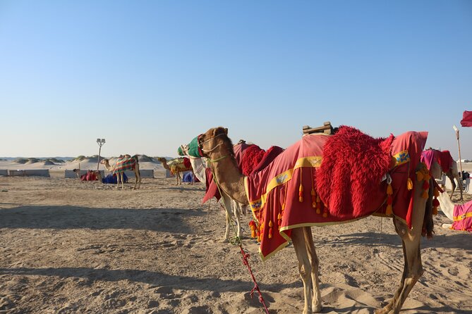 Private Desert Safari Tour 4 hours - What the private format changes