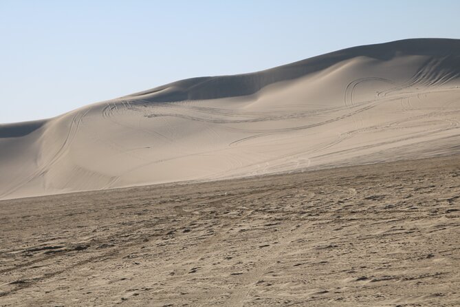 Private Desert Safari Tour 4 hours - What is included, and what you still pay for