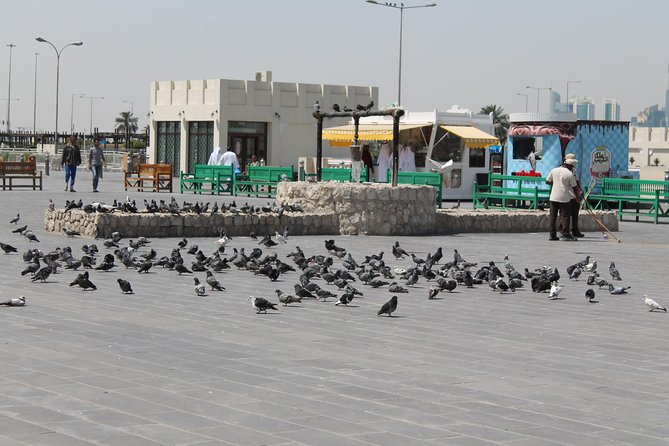 Private Doha Express Tour - What you see between the scheduled stops