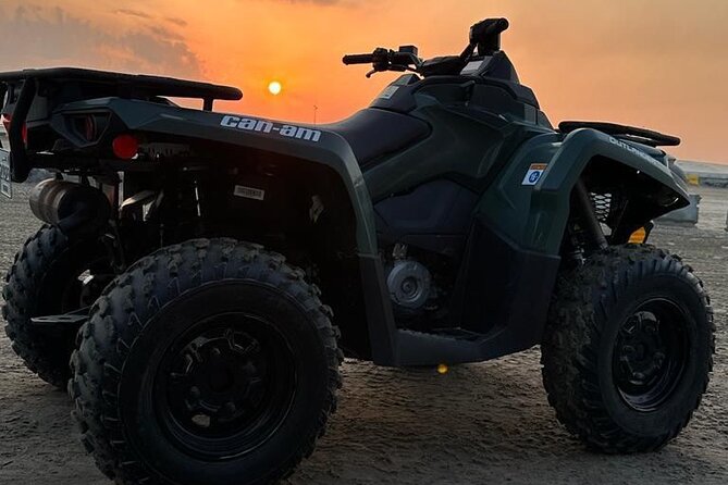 Private-Doha Horse Ride/Camel Ride/Quad Bike All Inclusive Tour - Pickup makes the half-day easier