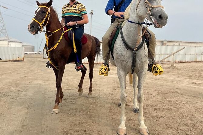 Private-Doha Horse Ride/Camel Ride/Quad Bike All Inclusive Tour - Mesaieed: the main four-hour desert session
