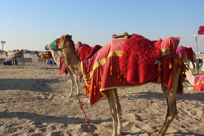 Private Dunes Bashing | Desert Safari | Sand Boarding - From Doha to Qatar’s Open Desert