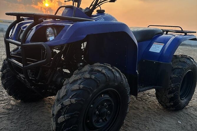Private Full Day Desert Safari Dinner and Camel Ride in Doha - The Inland Sea, Where Sand Meets Water