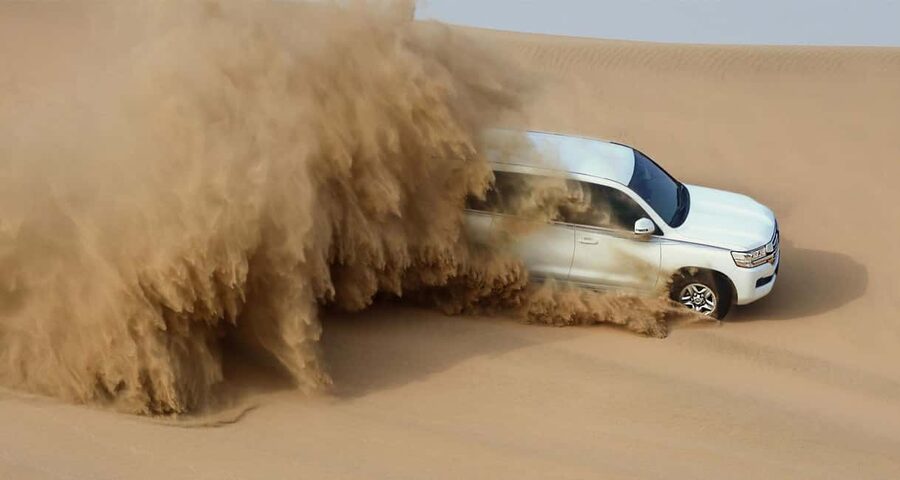 Private Full-Day Desert Tour - From Doha to Sealine in an air-conditioned Land Cruiser