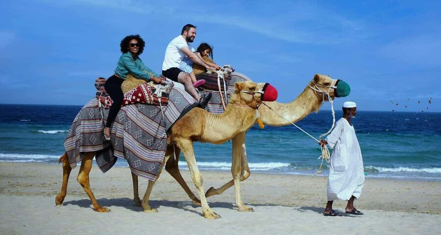 Private Full-Day Desert Tour - Reaching the Inland Sea near the Saudi border