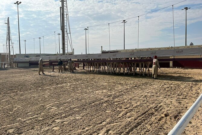 Private Full Day Guided Tour in Qatar North and West - Al Zubara Fort, Qatar’s UNESCO site