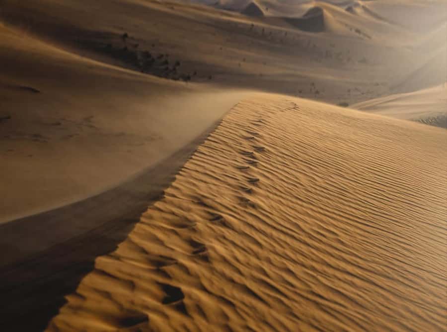 Private Gentle Sands Desert Experience Without Dune Bashing - Key points to know before you go