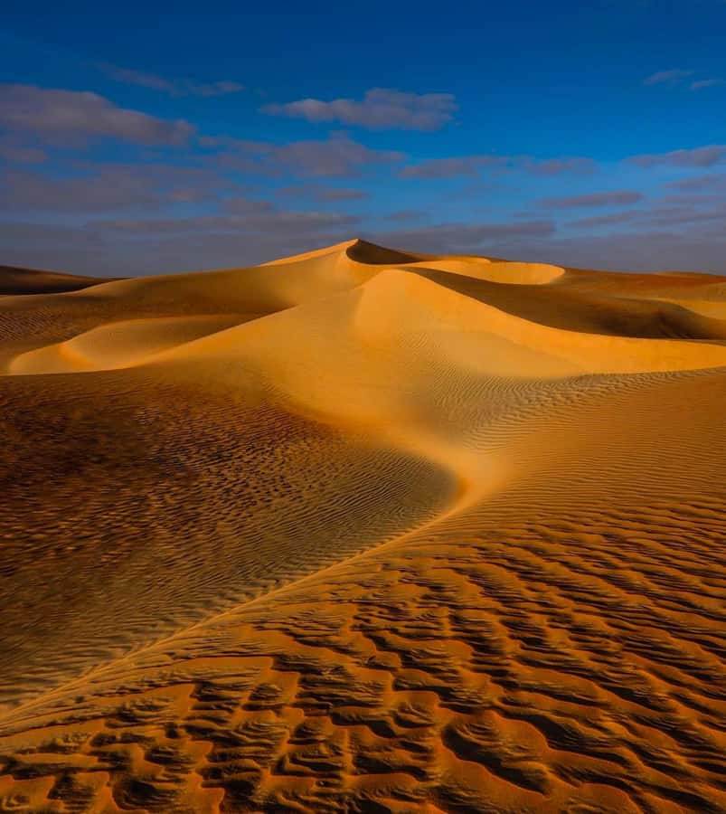 Private Gentle Sands Desert Experience Without Dune Bashing - The 4x4 ride: thrilling, but not gentle