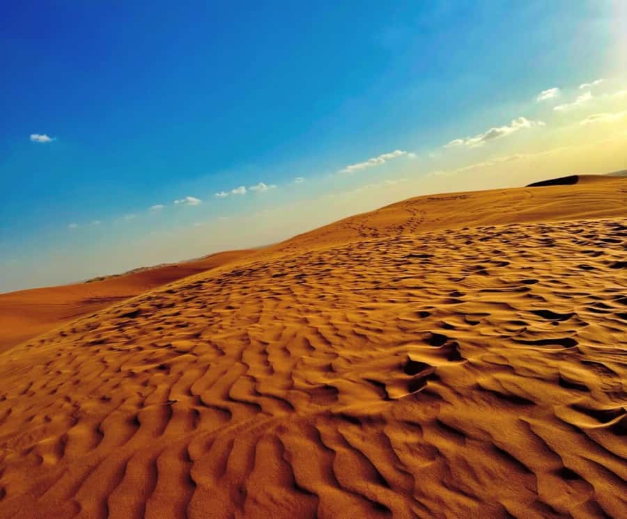 Private Gentle Sands Desert Experience Without Dune Bashing - Who should book this desert experience