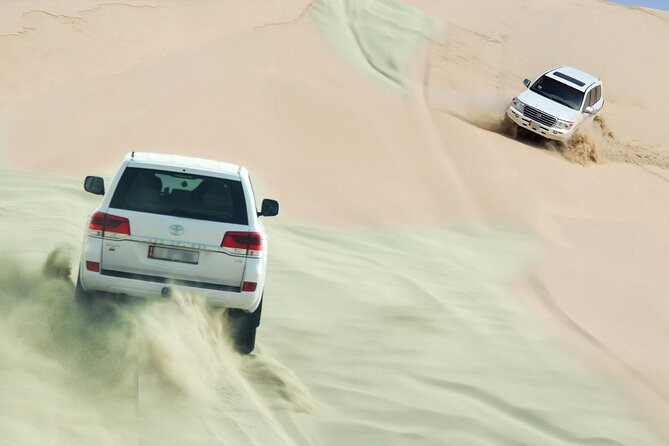 Private Half Day Desert Safari with Camel Ride - What dune bashing is like on this half-day trip