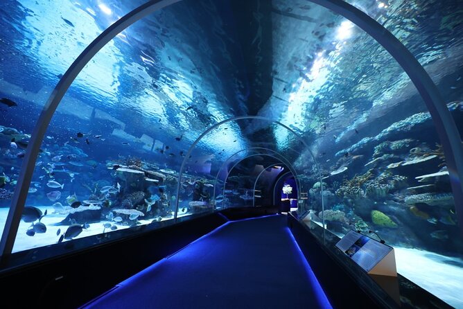 Private Hamad Port Tour in Mesaieed |Aquarium |Maritime Museum - Key points at a glance
