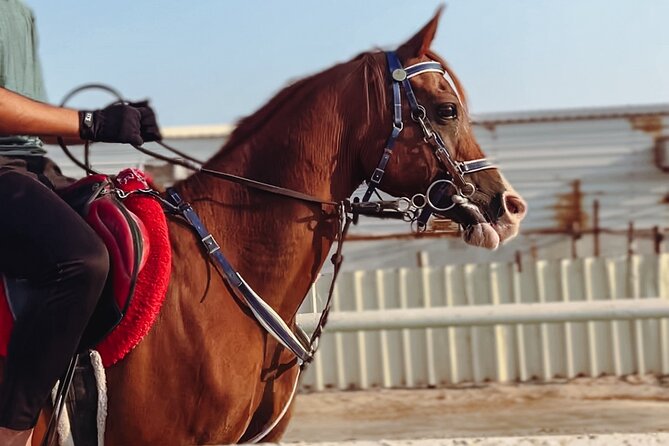 Private Horse and Camel Riding Experience in Doha - Key points to know before booking