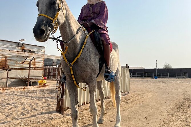 Private Horse and Camel Riding Experience in Doha - A short camel ride with a different rhythm