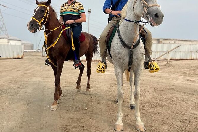 Private Horse and Camel Riding Experience in Doha - Is $150 good value for three hours?