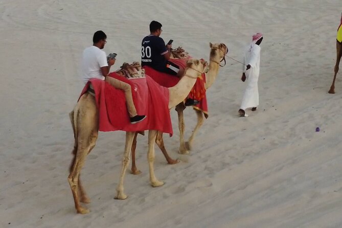 Private Horseback Riding Experience in Doha - Why the private format matters
