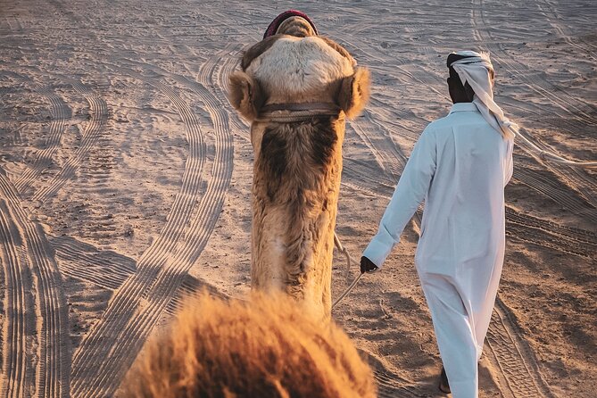 Private Horseback Riding Experience in Doha - Timing, comfort, and practical planning