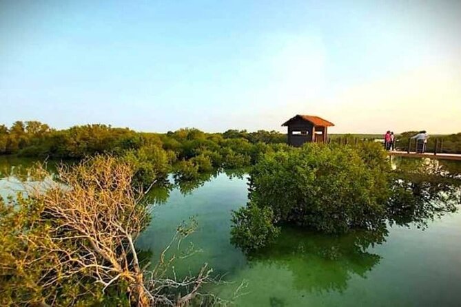 Private North of Qatar Tour - Al Khor, a creek city with a northern feel