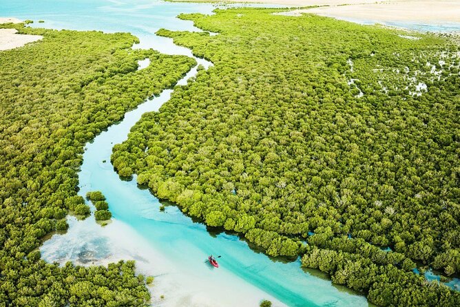 Private North of Qatar Tour - Is $65.87 a fair price?