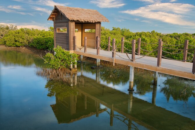 Private North of Qatar: Zubara Fort | Jumail Village | Al-Thakhira Mangroves - Al Thakhira Mangroves, Qatar’s coastal plant world