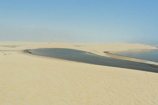 Private Sealine Beach Tour with Desert Activities - Sandboarding for a simple burst of fun