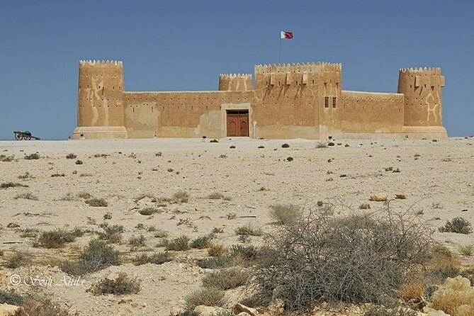 Private Tour in Northern Qatar - Why northern Qatar is worth your time