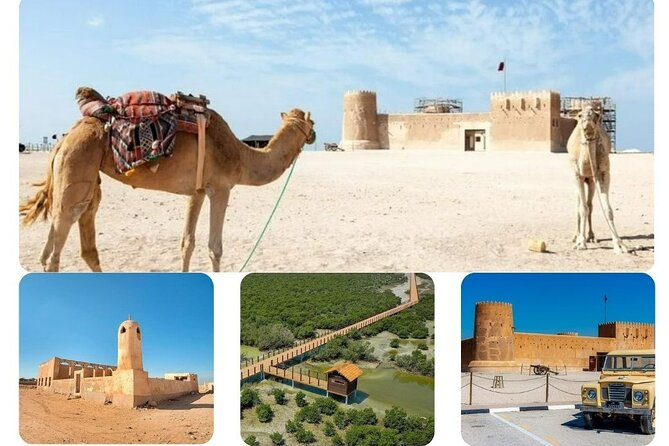 Private Tour in Northern Qatar - Al Khor: a first look at Qatar’s coastal life