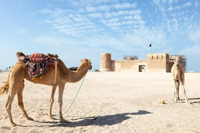 Private Tour in Northern Qatar - Purple Island and its mangrove habitat