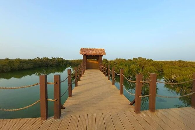 Private Tour in Northern Qatar - Leaving Doha for the northern coast