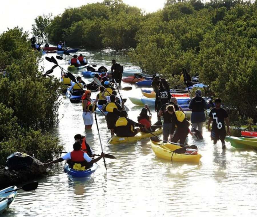 Qatar: Al Thakira Mangrove Forest Kayaking Tour - Key points at a glance