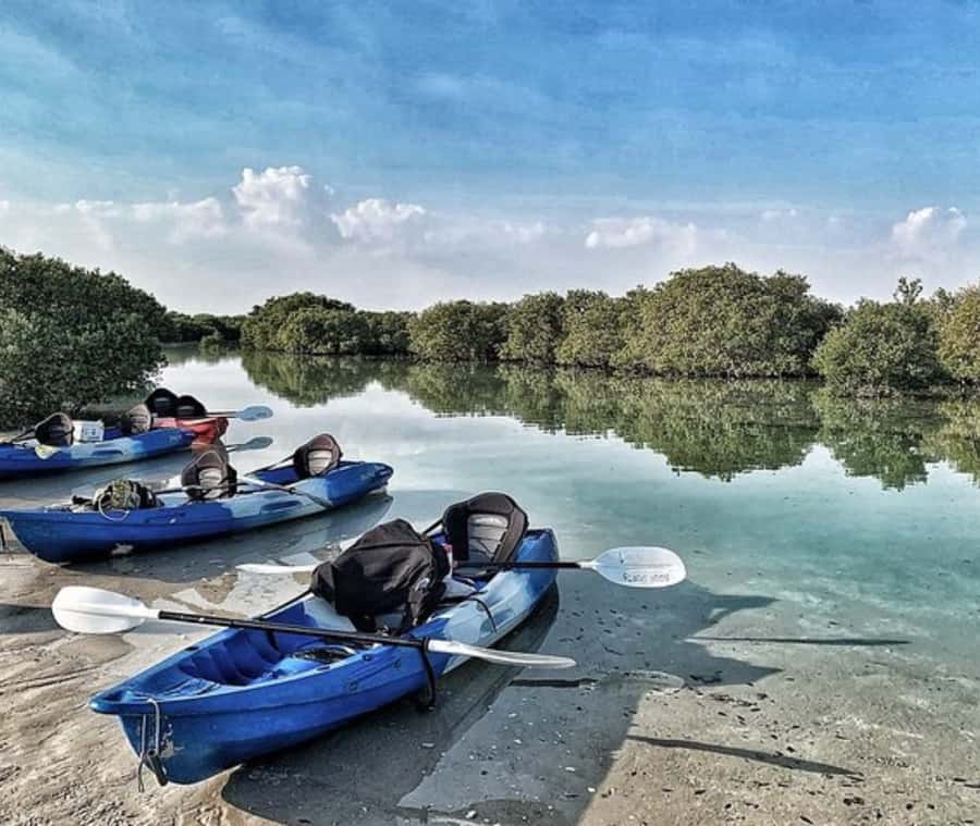 Qatar: Al Thakira Mangrove Forest Kayaking Tour - Getting ready beside the mangrove channels
