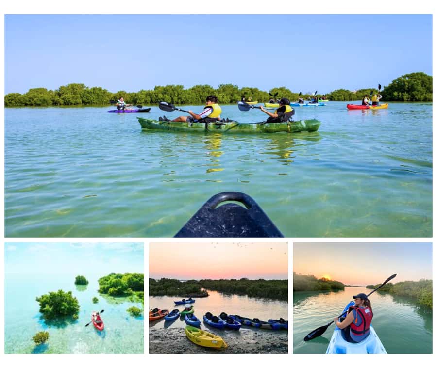 Qatar: Al Thakira Mangrove Forest Kayaking Tour - The one-hour drive from Doha