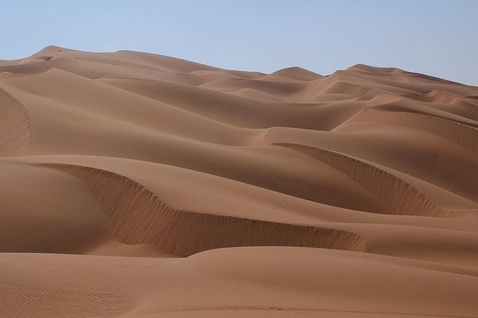 Qatar Desert Safari Adventure Experience . - Two hours of dune bashing
