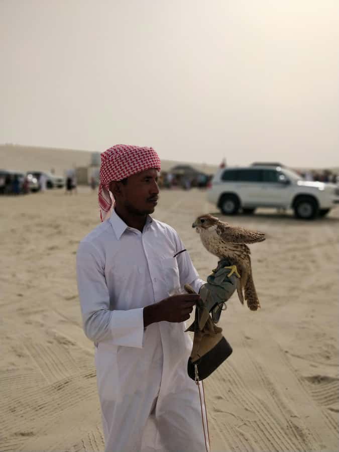 Qatar: Desert Safari, Camel Ride, Inland sea, Sandboarding - The Inland Sea, Qatar’s unforgettable border view