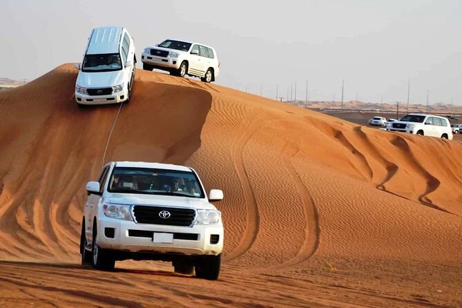 Qatar Desert Safari, Dune Bashing (Private Safari Tour) - Two and a half hours of dune bashing