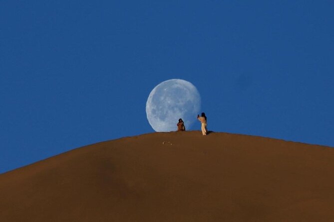 Qatar Desert Safari, Dune Bashing (Private Safari Tour) - Who will enjoy this private safari most