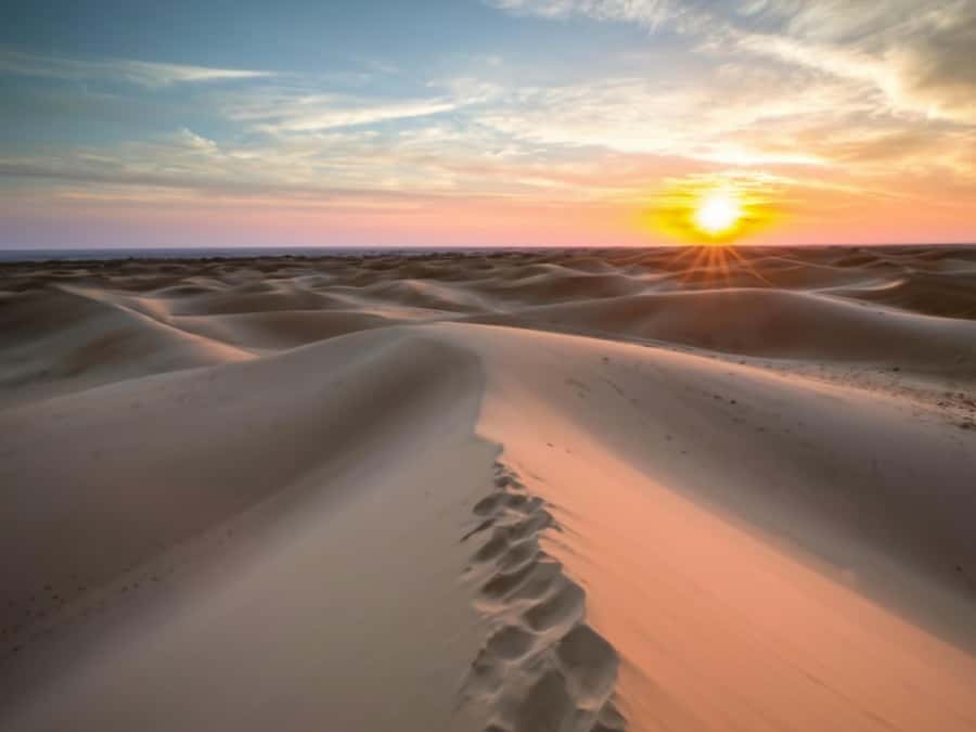 Qatar Desert Safari, Quad bike, Camel Ride and Sandboarding - Returning to Doha after a busy half-day