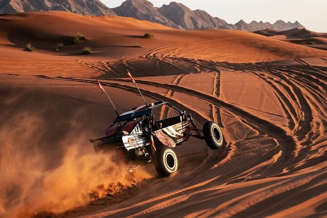 Qatar Desert Thrills Self Ride Dune Buggy Safari and Camel Ride - Key points before you book
