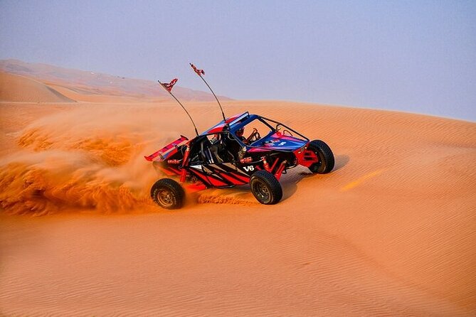 Qatar Desert Thrills Self Ride Dune Buggy Safari and Camel Ride - What the private format adds