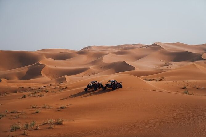 Qatar Desert Thrills Self Ride Dune Buggy Safari and Camel Ride - The camel ride, with realistic expectations