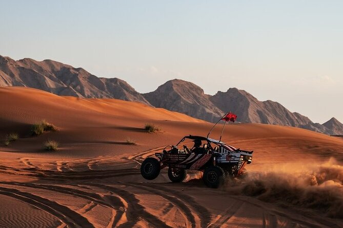 Qatar Desert Thrills Self Ride Dune Buggy Safari and Camel Ride - Is $199 per person fair value?