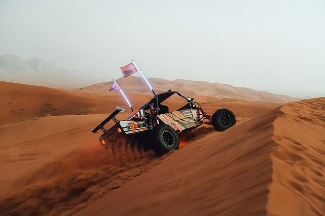 Qatar Desert Thrills Self Ride Dune Buggy Safari and Camel Ride - What the strongest feedback tells you
