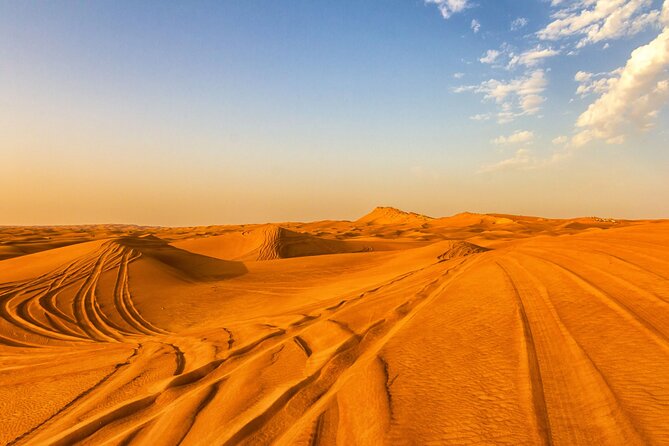 Qatar Dune Buggy Private Experience - Who will enjoy this private desert ride?