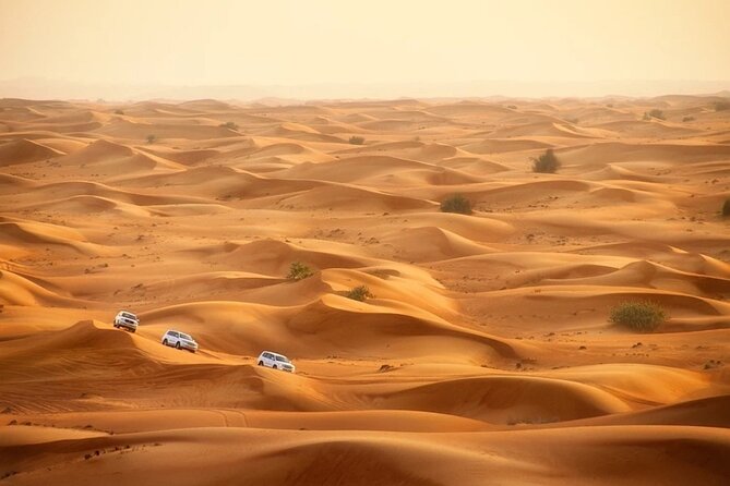 Qatar Dune Buggy Private Experience - Should you book the Qatar Dune Buggy Private Experience?