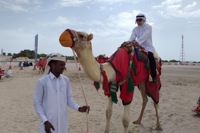 Qatar Gold Dune Safari, Dune Bashing,Camel Ride,Sand Boarding,Inland Sea Desert - How good is the $44.59 value?