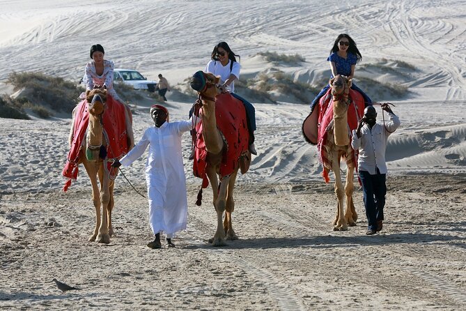 Qatar Half Day Desert Safari(Camel Rides & Sandboarding) - Families, layovers, and comfort