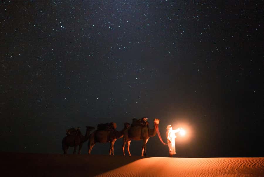 Qatar: Night Desert Safari| Camel Ride| Inland Sea Beach - Leaving Doha for Mesaieed